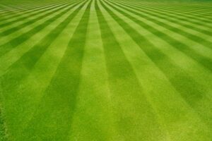 The Perfectly striped freshly mowed garden lawn in summer