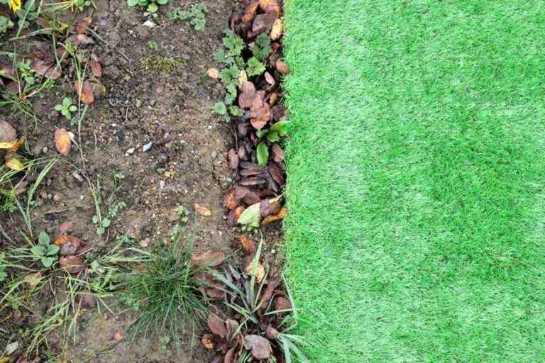 Artificial Grass and Turf
