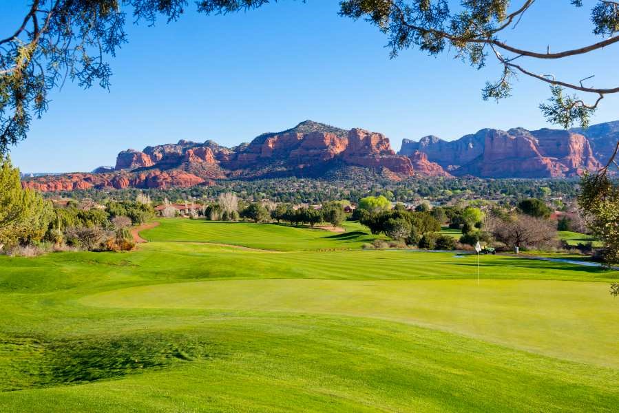 Artificial Grass Creates Desert Gardens in Arizona