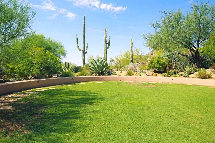 Benefits of Artificial Grass in Arizona's Harsh Climate