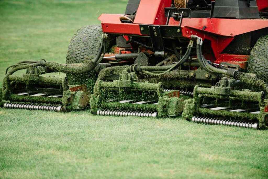 Artificial grass maintenance tips and tools synthetic lawn care in Phoenix, AZ