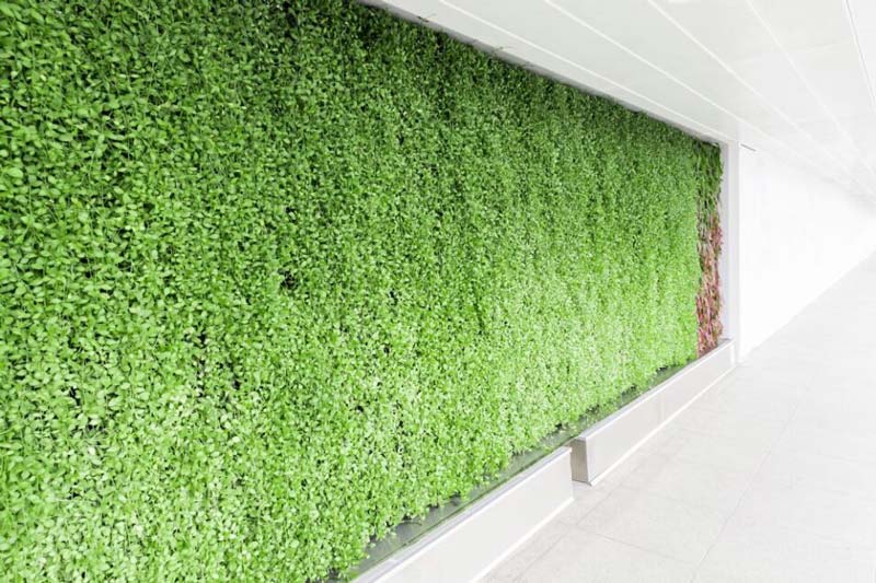 Artificial Grass Living Wall
