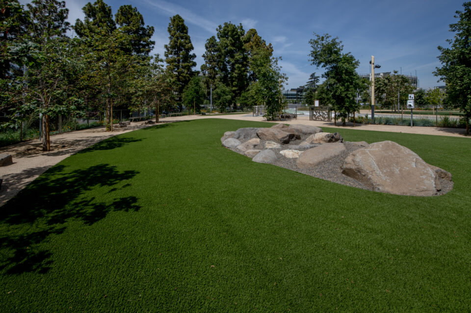 Artificial Lawns